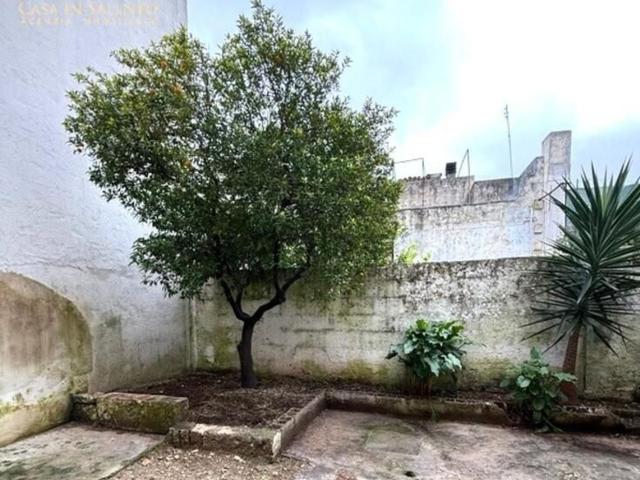 Appartamento in vendita a Presicce, Puglia