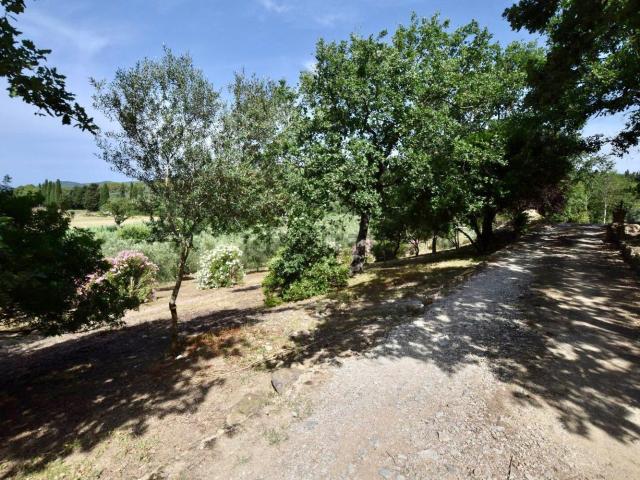 Appartamento in vendita a Suvereto, Toscana
