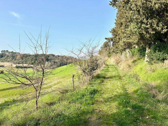 Appartamento in vendita a Collesalvetti, Toscana