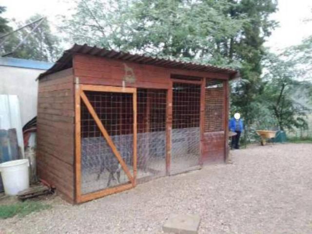Appartamento in vendita a Cafaggio, Rosignano Marittimo