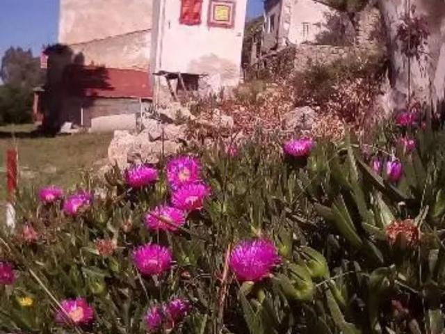 Appartamento in vendita a Marciana, Toscana