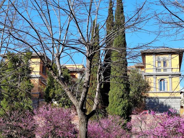 Attico in vendita a Centro, Monte Argentario