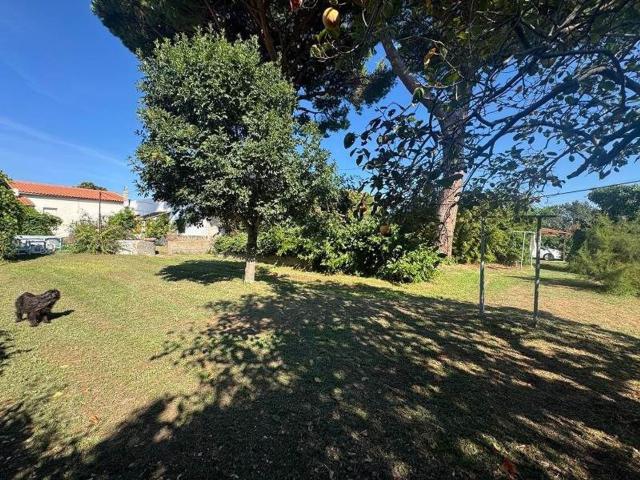 Appartamento in vendita a Fiorentina, Piombino