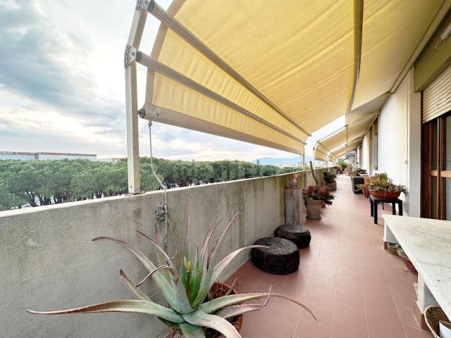 Attico in vendita a Marina di Carrara, Carrara