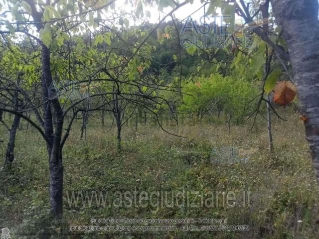 Appartamento in vendita a Vernasca, Reggio Emilia