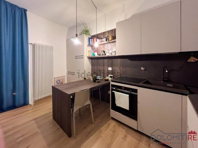 Appartamento in vendita a Borgo Piave, Zoldo Alto
