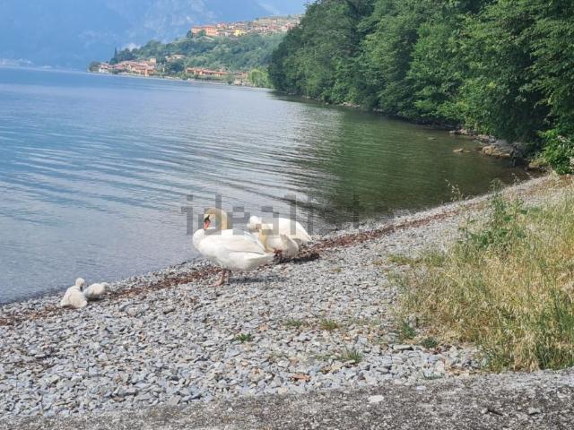 Appartamento in vendita a Comunità montana del Sebino bresciano, Monte Isola