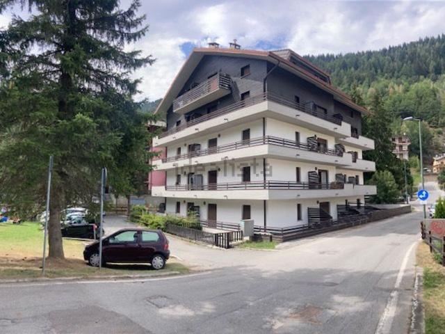 Appartamento in vendita a San Pietro in Aprica, Corteno Golgi