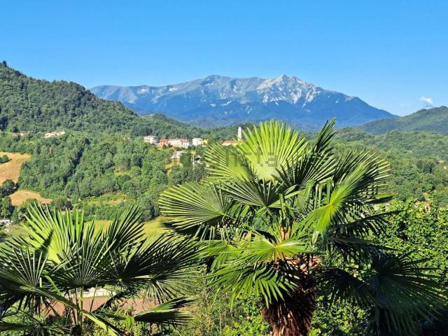 Appartamento in vendita a Piemonte, Cuneo