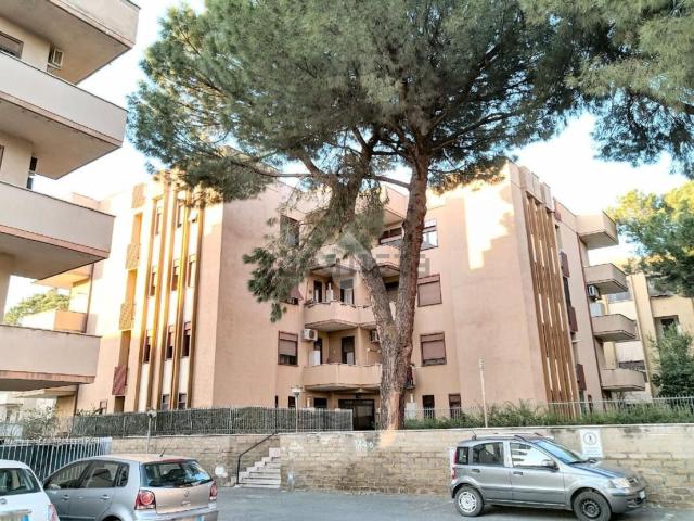 Appartamento in vendita a Ciampino, Roma Capitale