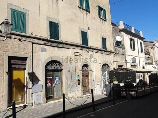 Appartamento in vendita a Unione dei Comuni Montani Amiata Grossetana, Castel Del Piano