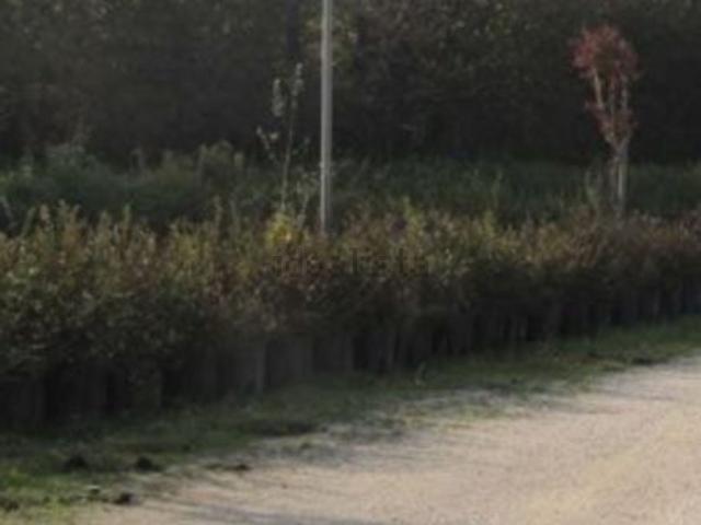 Appartamento in vendita a Ca' Noghera, Venezia
