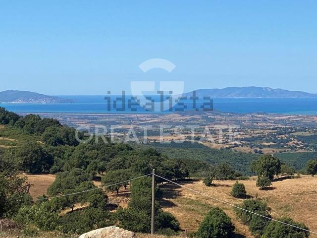 Appartamento in vendita a Scansano, Toscana