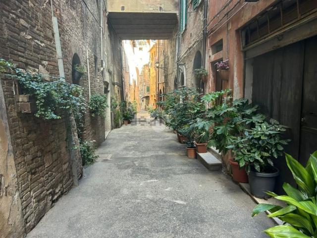 Appartamento in vendita a Cenerente, Perugia