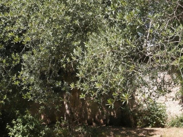 Appartamento in vendita a Monteroduni, Molise