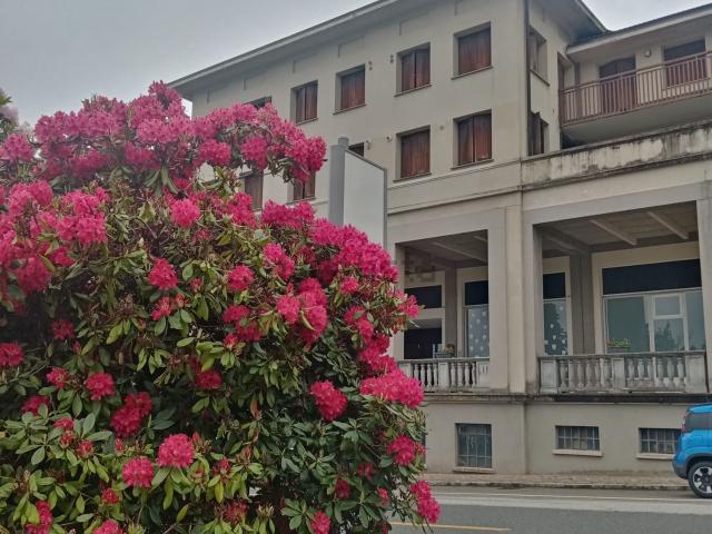 Appartamento in vendita a Valdilana, Piemonte