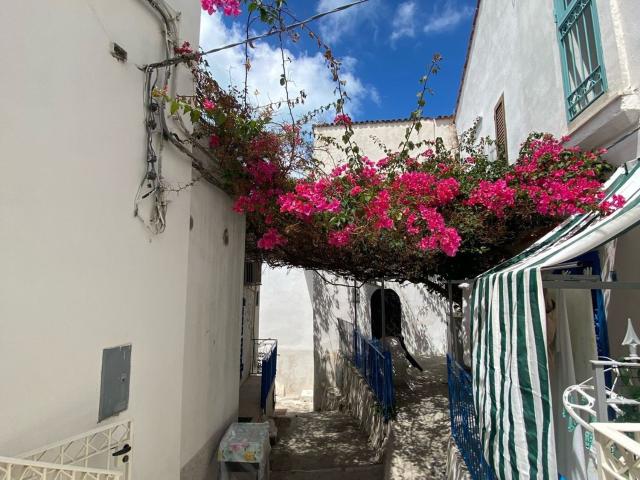 Appartamento in vendita a Puglia, Foggia