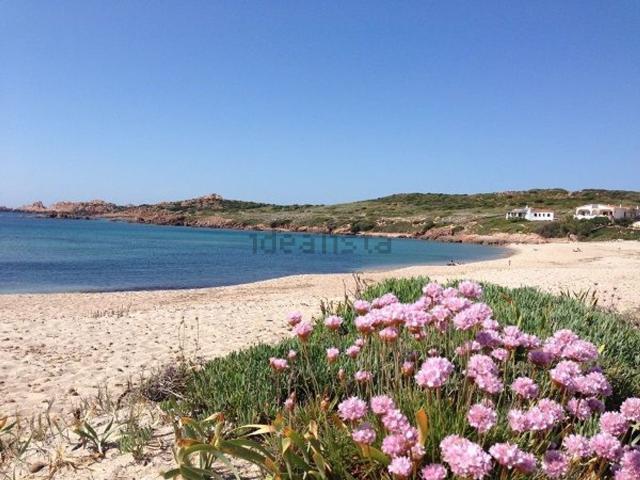 Appartamento in vendita a Trinità d'Agultu e Vignola, Sardigna/Sardegna