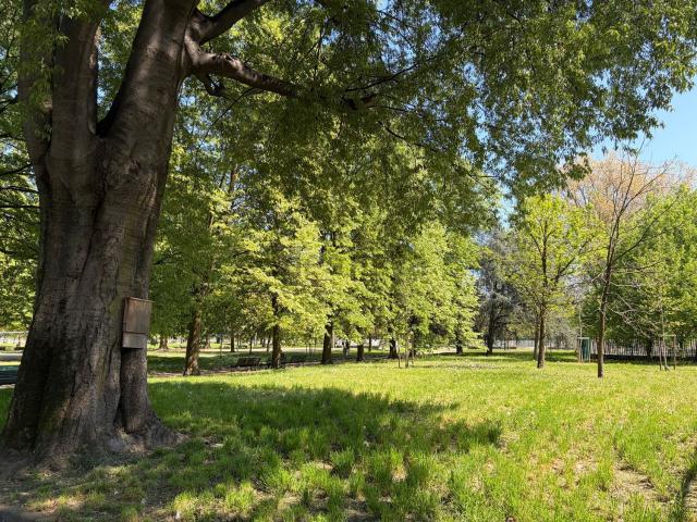 Appartamento in vendita a Municipio 8 di Milano, Milano