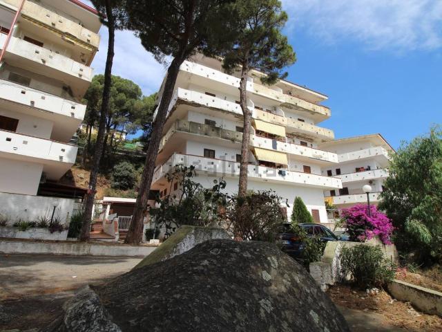 Appartamento in vendita a Calabria, Catanzaro