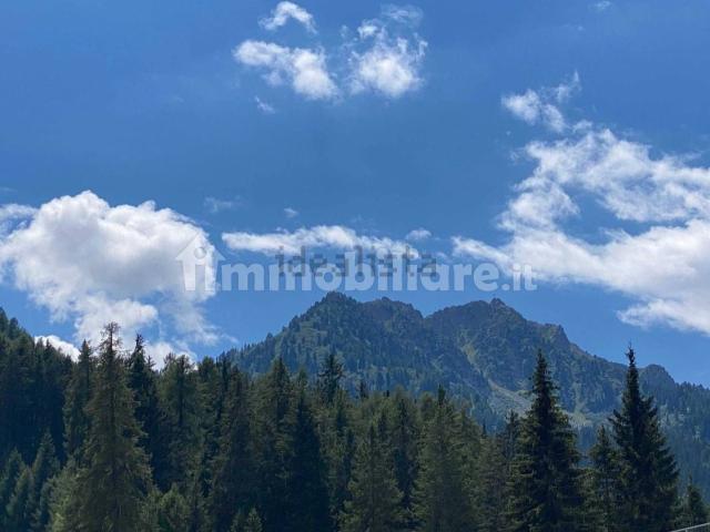 Appartamento in vendita a Comunità della Valle di Sole, Mezzana