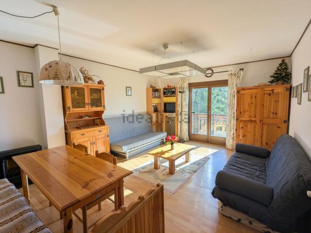 Appartamento in vendita a Comunità Alto Garda e Ledro, Molina Di Ledro