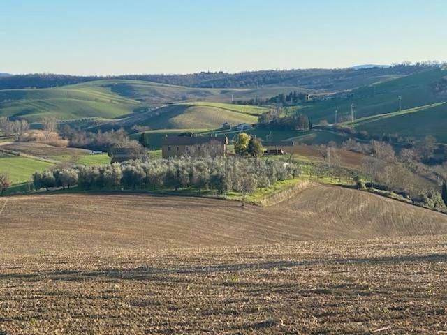 Appartamento in vendita a Magliano In Toscana, Toscana