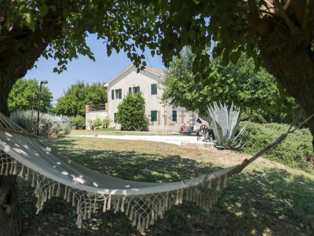 Appartamento in vendita a Marche, Ancona