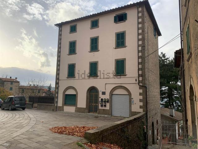 Appartamento in vendita a Unione dei Comuni Montani Amiata Grossetana, Castel Del Piano