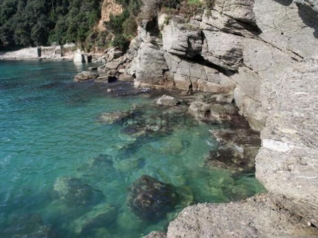 Appartamento in vendita a Ameglia, Liguria