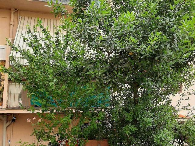 Appartamento in vendita a Quartiere 2, Firenze
