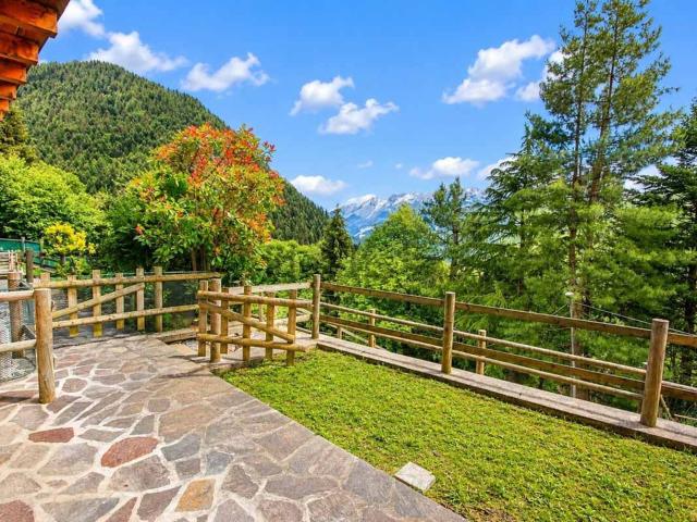 Appartamento in vendita a Salvoldi, Gandellino