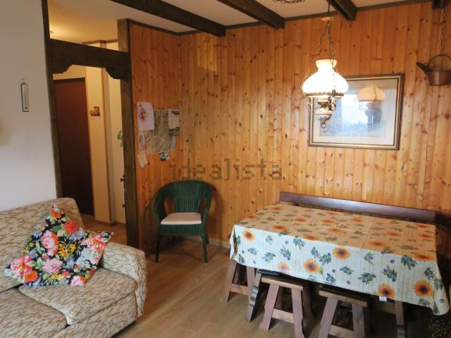 Appartamento in vendita a Comunità Alto Garda e Ledro, Molina Di Ledro