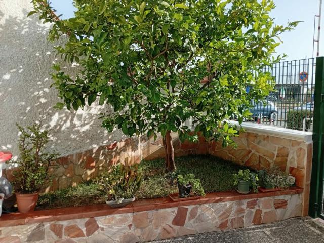 Appartamento in vendita a Marina di Roseto Capo Spulico, Calabria