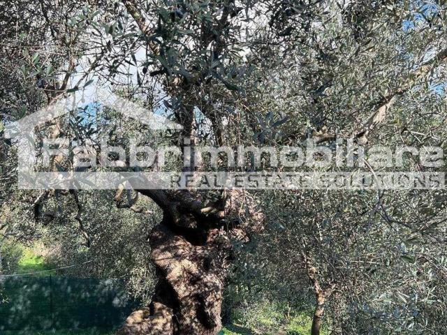 Appartamento in vendita a Follonica, Toscana