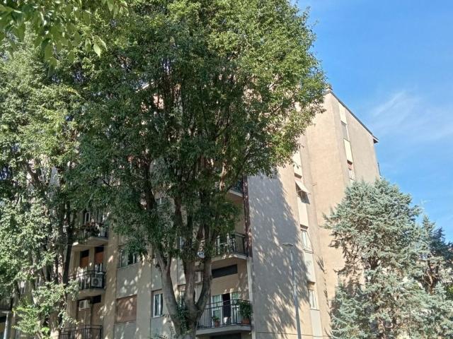 Appartamento in vendita a San Giuseppe, Monza