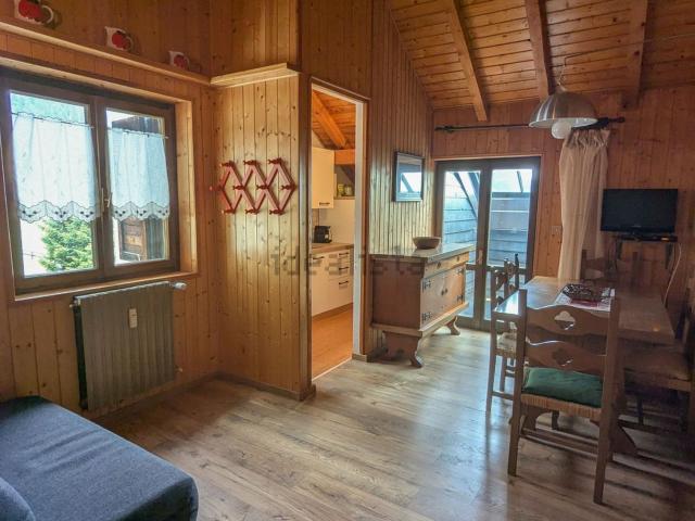 Appartamento in vendita a Comunità Alto Garda e Ledro, Molina Di Ledro