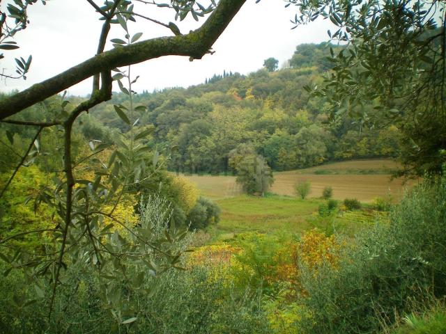Appartamento in vendita a Chiusi Città, Toscana