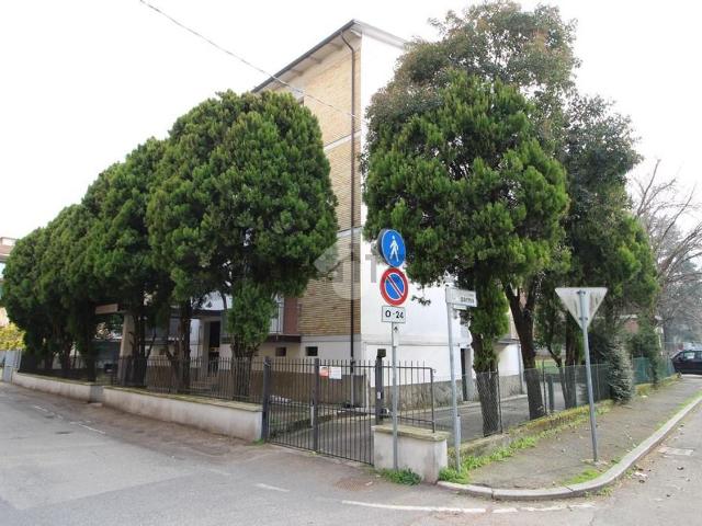 Appartamento in vendita a Cicogna, San Lazzaro
