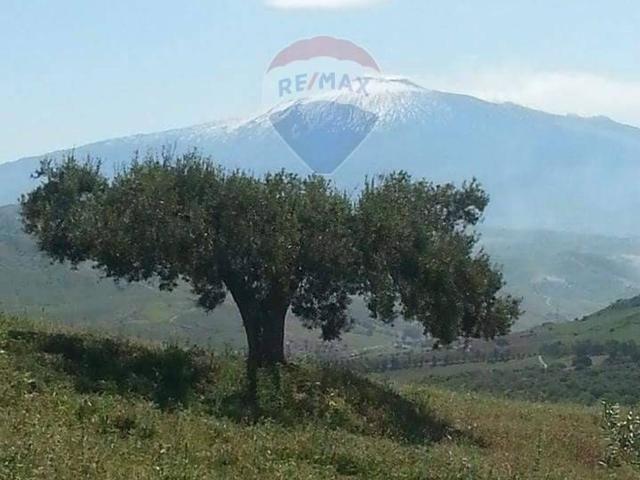 Appartamento in vendita a Troina, Sicilia