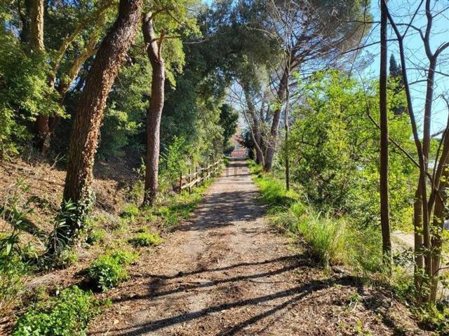 Appartamento in vendita a Fornelli, Riparbella