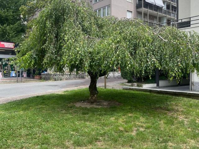 Appartamento in vendita a Campoledro, Sondrio