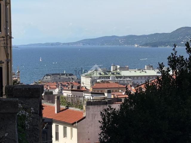 Appartamento in vendita a Città Nuova-Barriera Nuova-San Vito-Città Vecchia, Villa Opicina