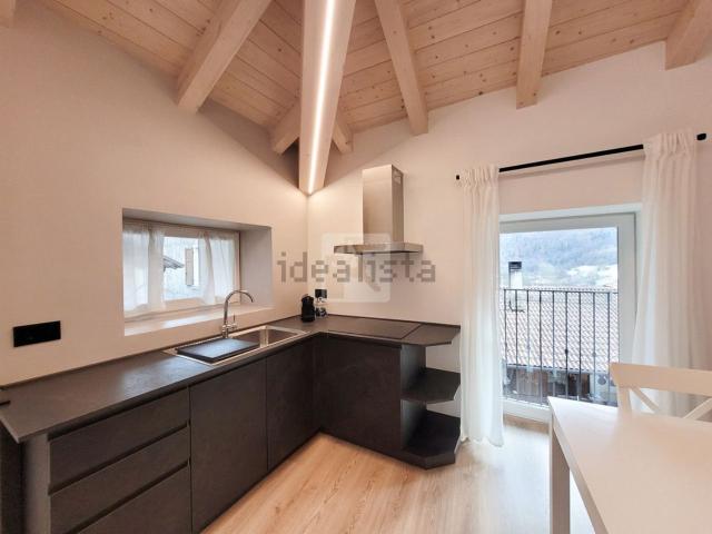 Appartamento in vendita a Comunità Alto Garda e Ledro, Molina Di Ledro