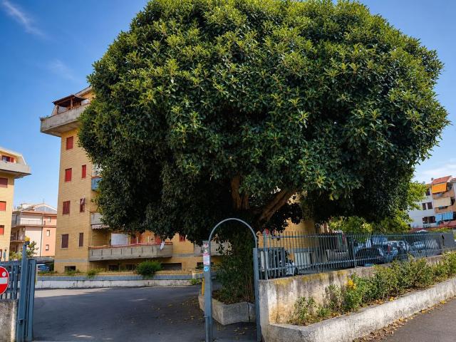 Appartamento in vendita a Monticello, Calabria