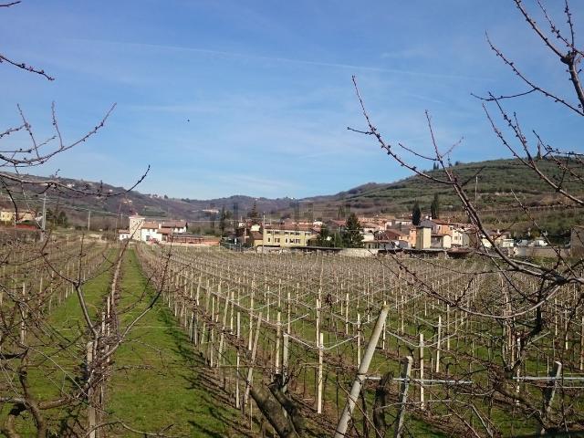 Appartamento in vendita a San Martino Buon Albergo, Veneto