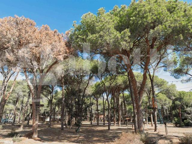 Appartamento in vendita a Pula, Sardigna/Sardegna