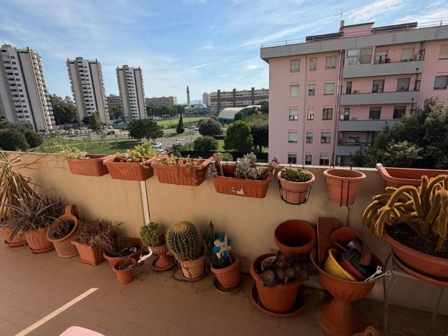 Appartamento in vendita a Sugherella, Grosseto
