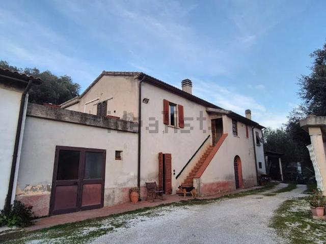 Appartamento in vendita a Campiglia Marittima, Toscana