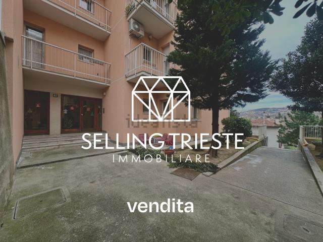 Appartamento in vendita a San Dorligo Della Valle, Friuli-Venezia Giulia